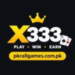 x333
